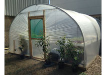 Polytunnels | Small & Commercial Polytunnels - Premier Polytunnels